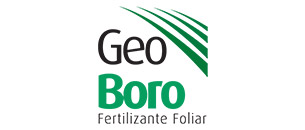 Geo Boro Geoclean