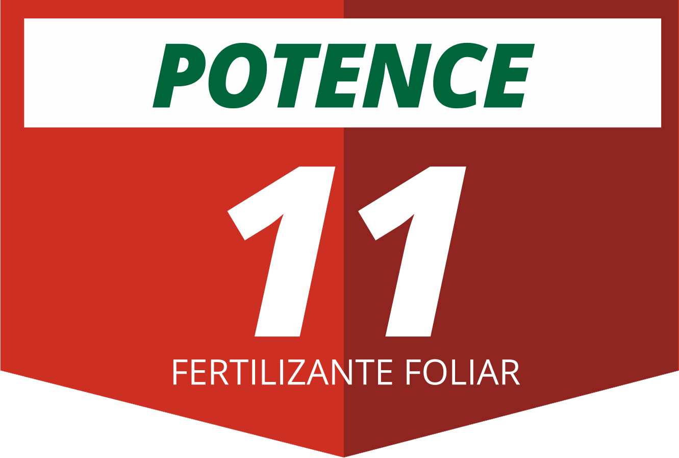 Potence 11