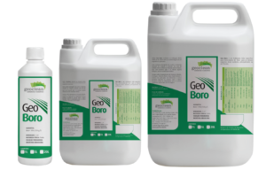 Geo Boro