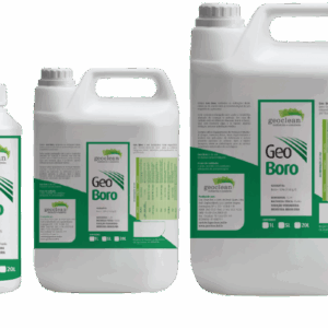 geo-boro