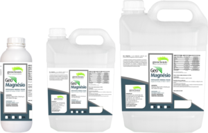 Geo Magnésio