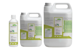 Geo Manganês